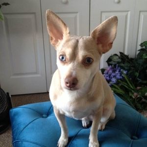 Meet your Posher, Kimberly